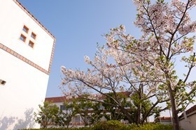 DSCF6018 (コピー).JPG