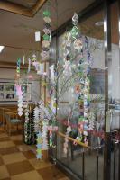 resized_IMG_0658.JPG