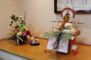 resized_IMG_6060.JPG